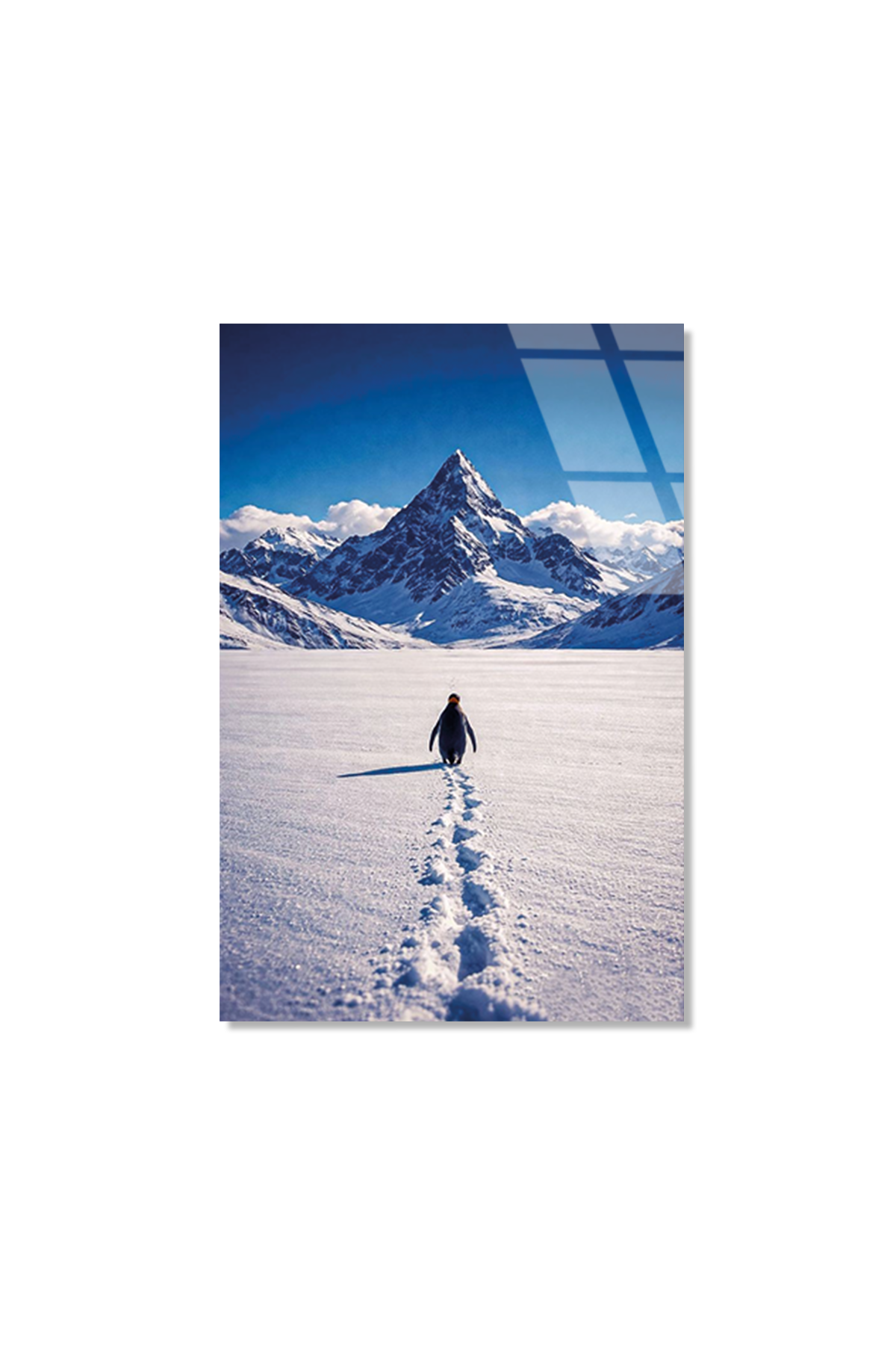 Nihilist Penguen Cam Tablo | Vitraum