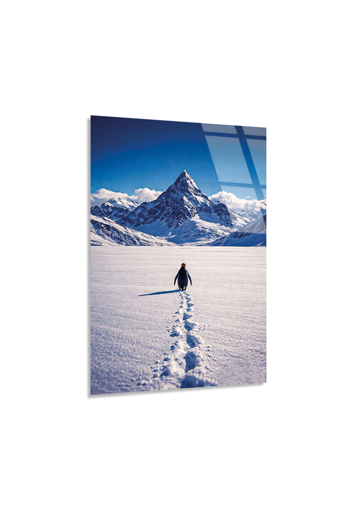 Nihilist Penguen Cam Tablo | Vitraum