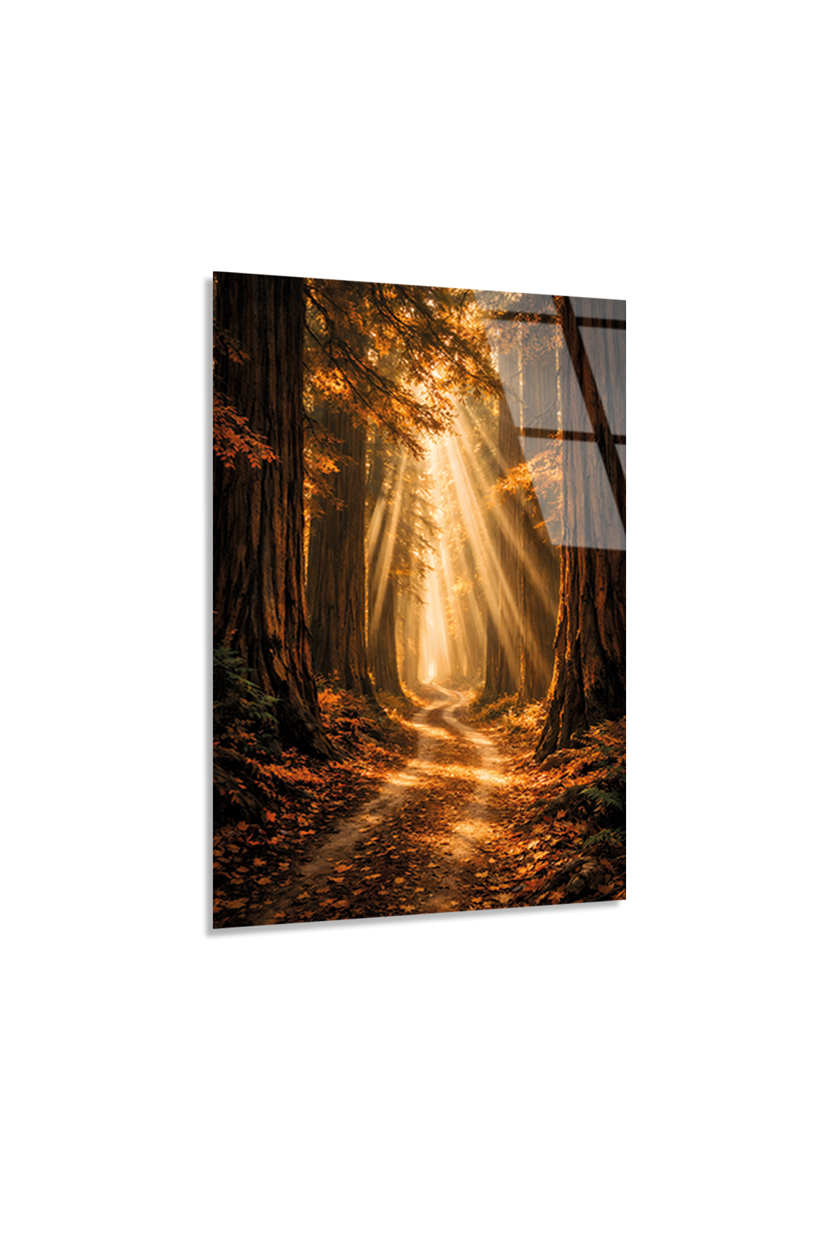 Orman Yolu Cam Tablo | Vitraum