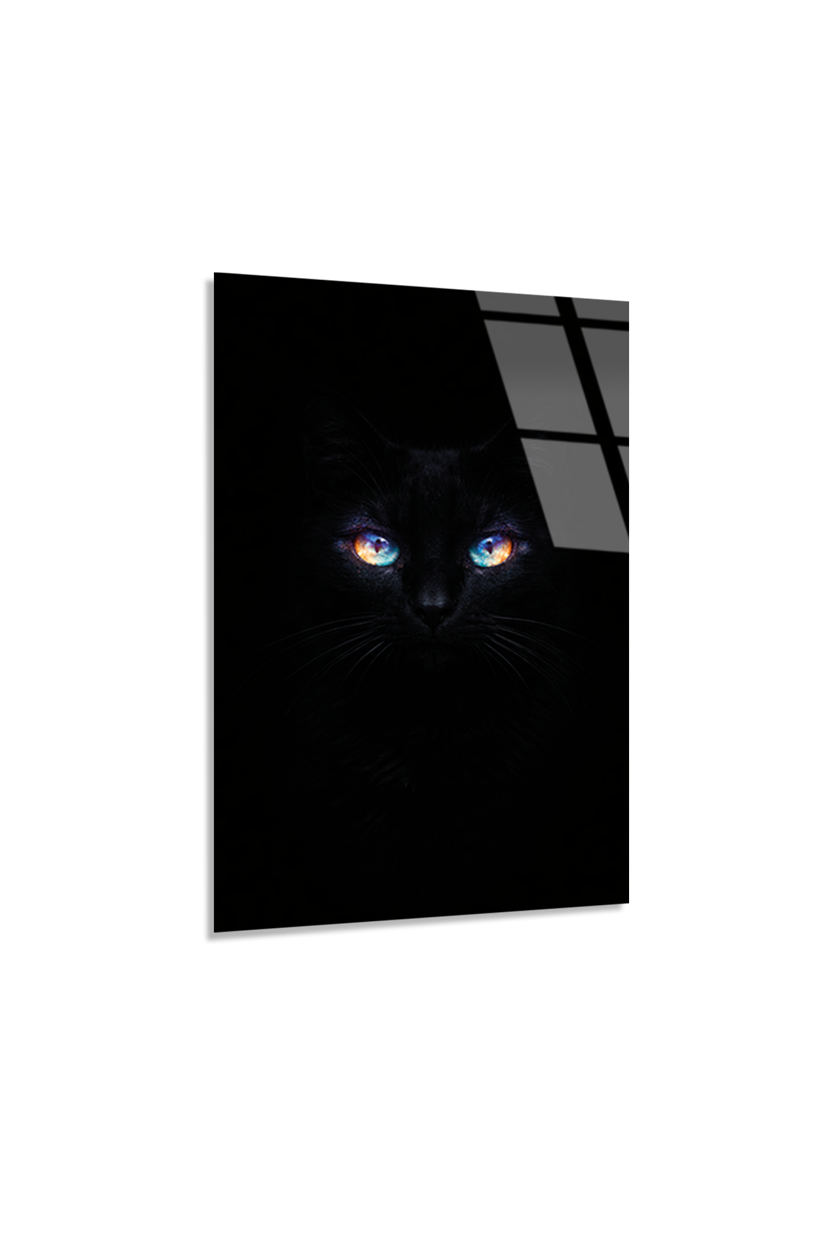 Siyah Kedi Cam Tablo | Vitraum