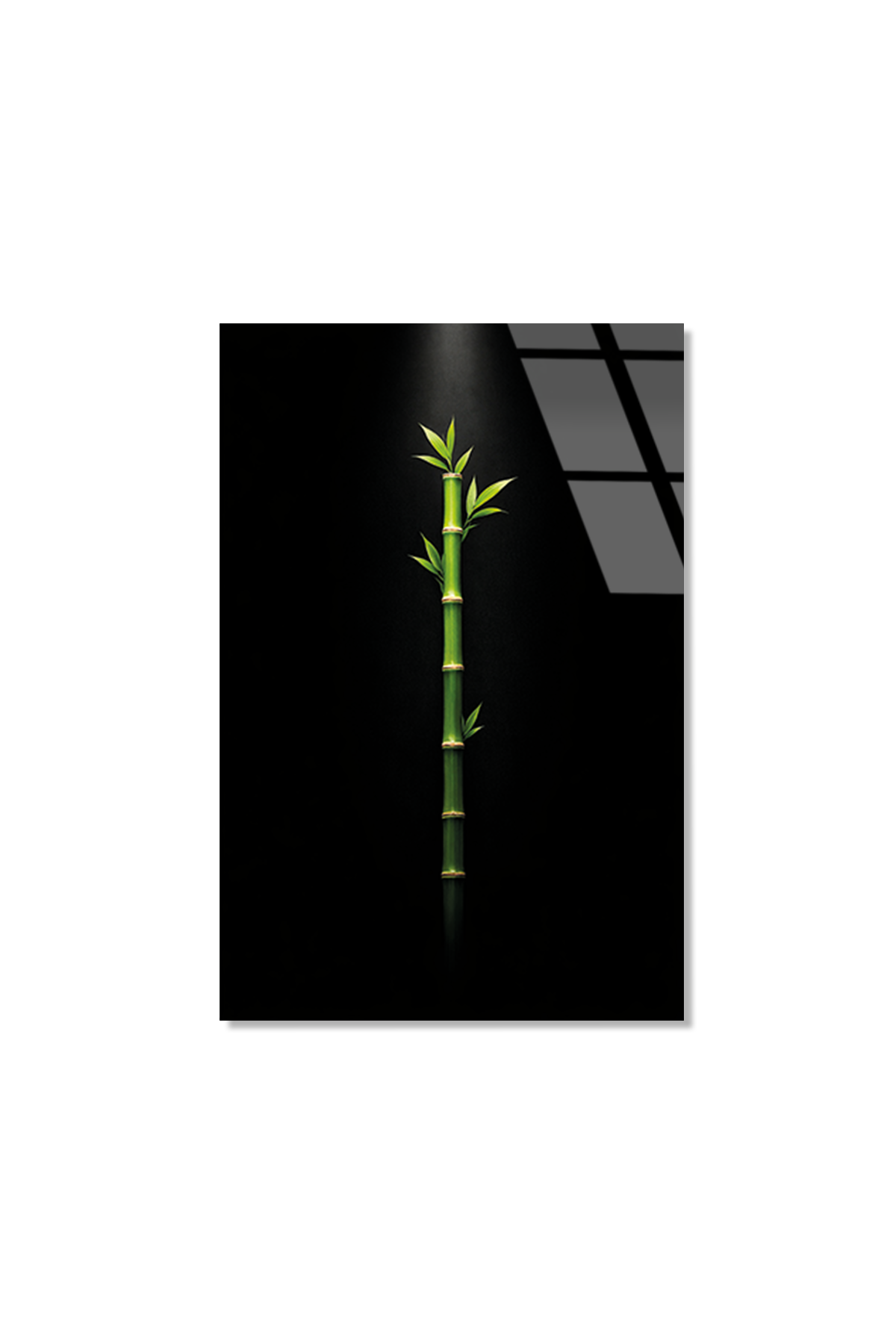 Işığa Uzanan Bambu Cam Tablo | Vitraum