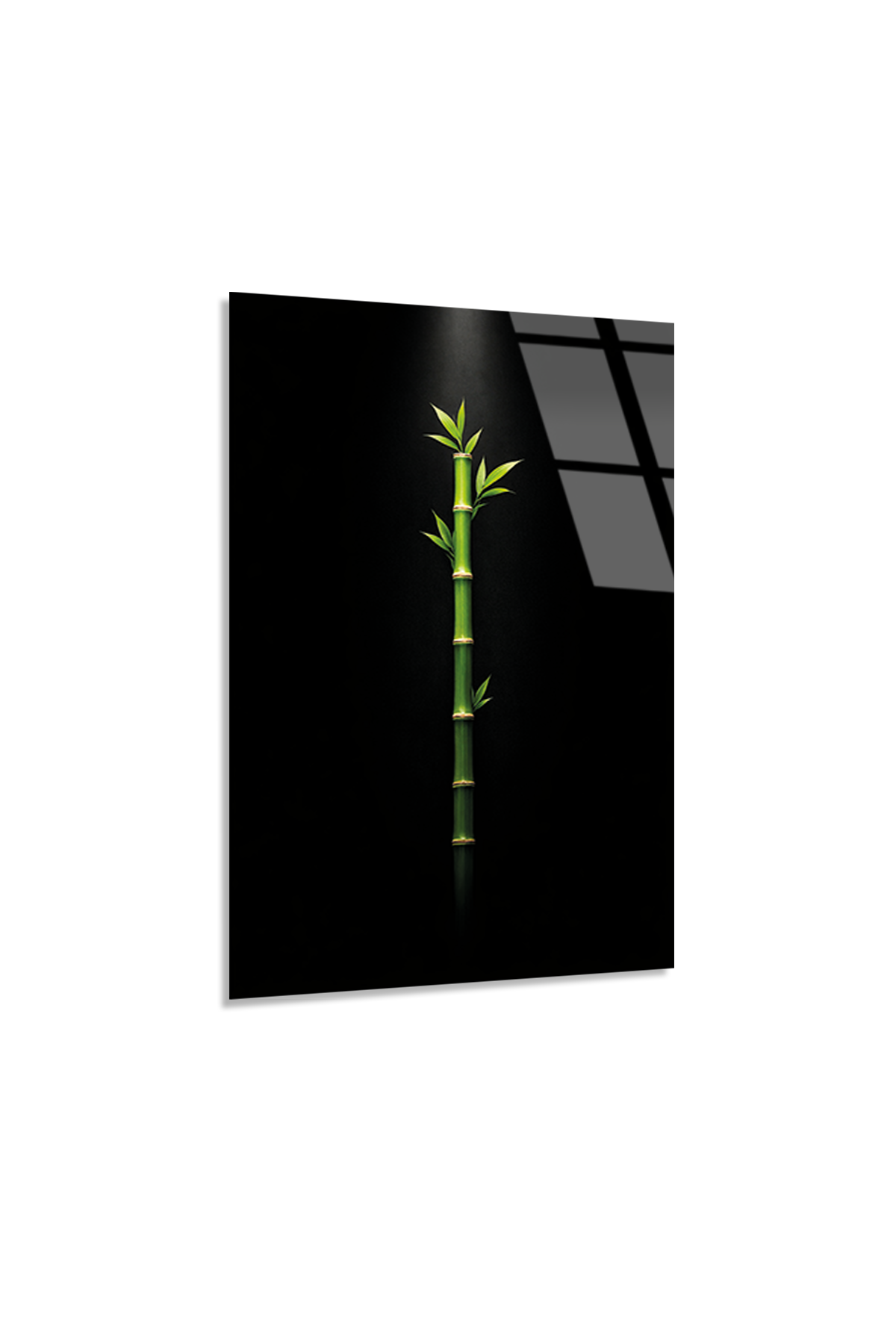 Işığa Uzanan Bambu Cam Tablo | Vitraum