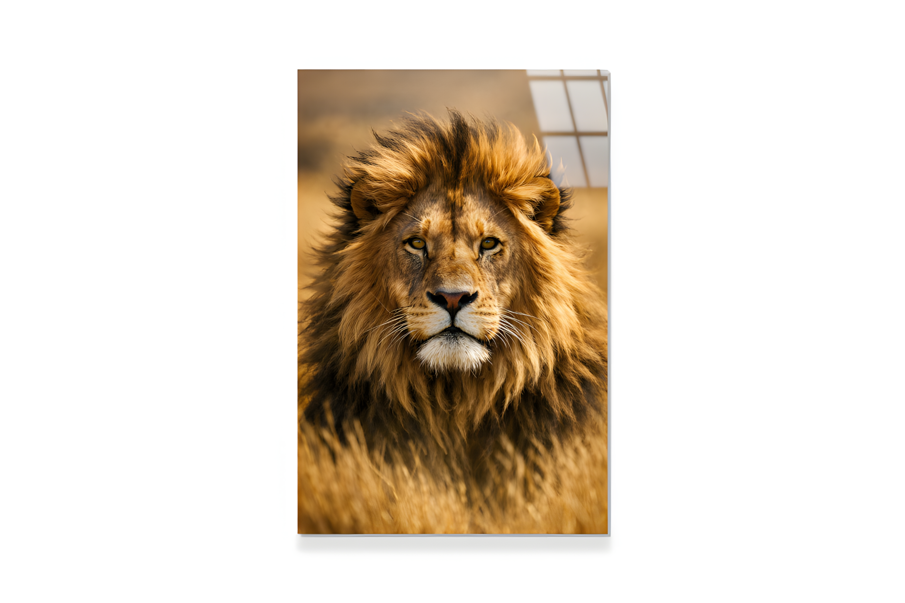 Yeleli Aslan Cam Tablo 3