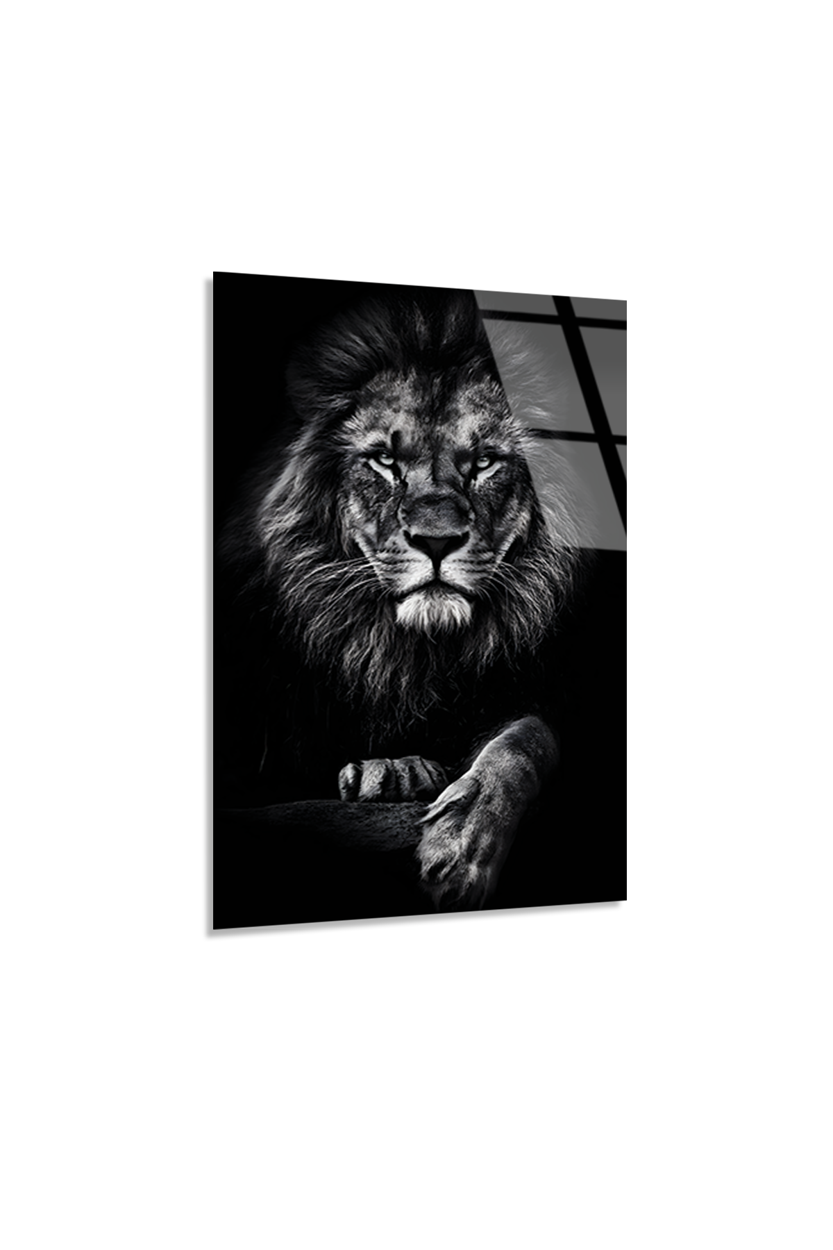Gölgenin Kralı Aslan Cam Tablo | Vitraum