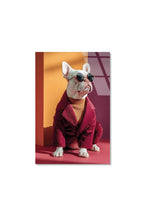 Kırmızı Ceketli ve Gözlüklü Tarz Fransız Bulldog Cam Tablo