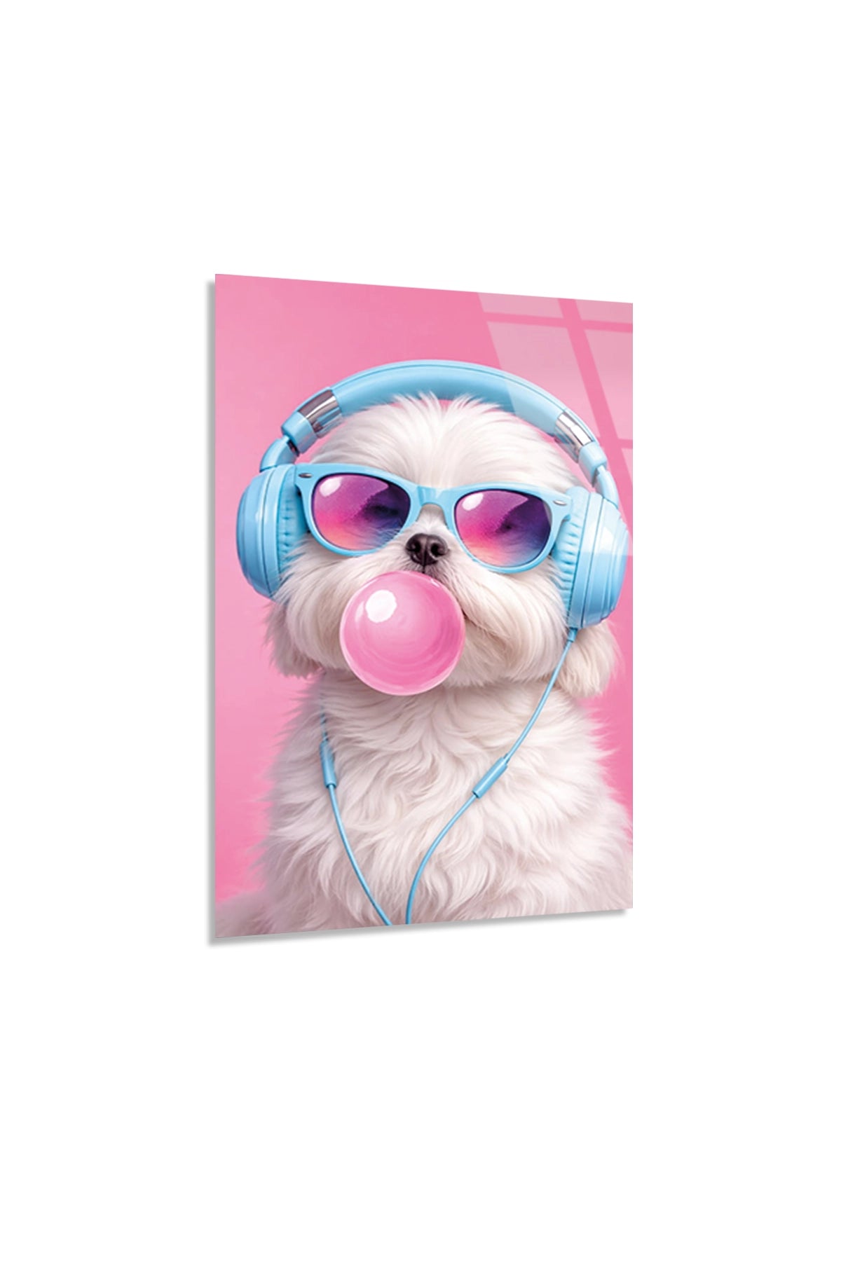Kulaklıklı ve Sakız Şişiren Tatlı Shih Tzu Köpek Cam Tablo