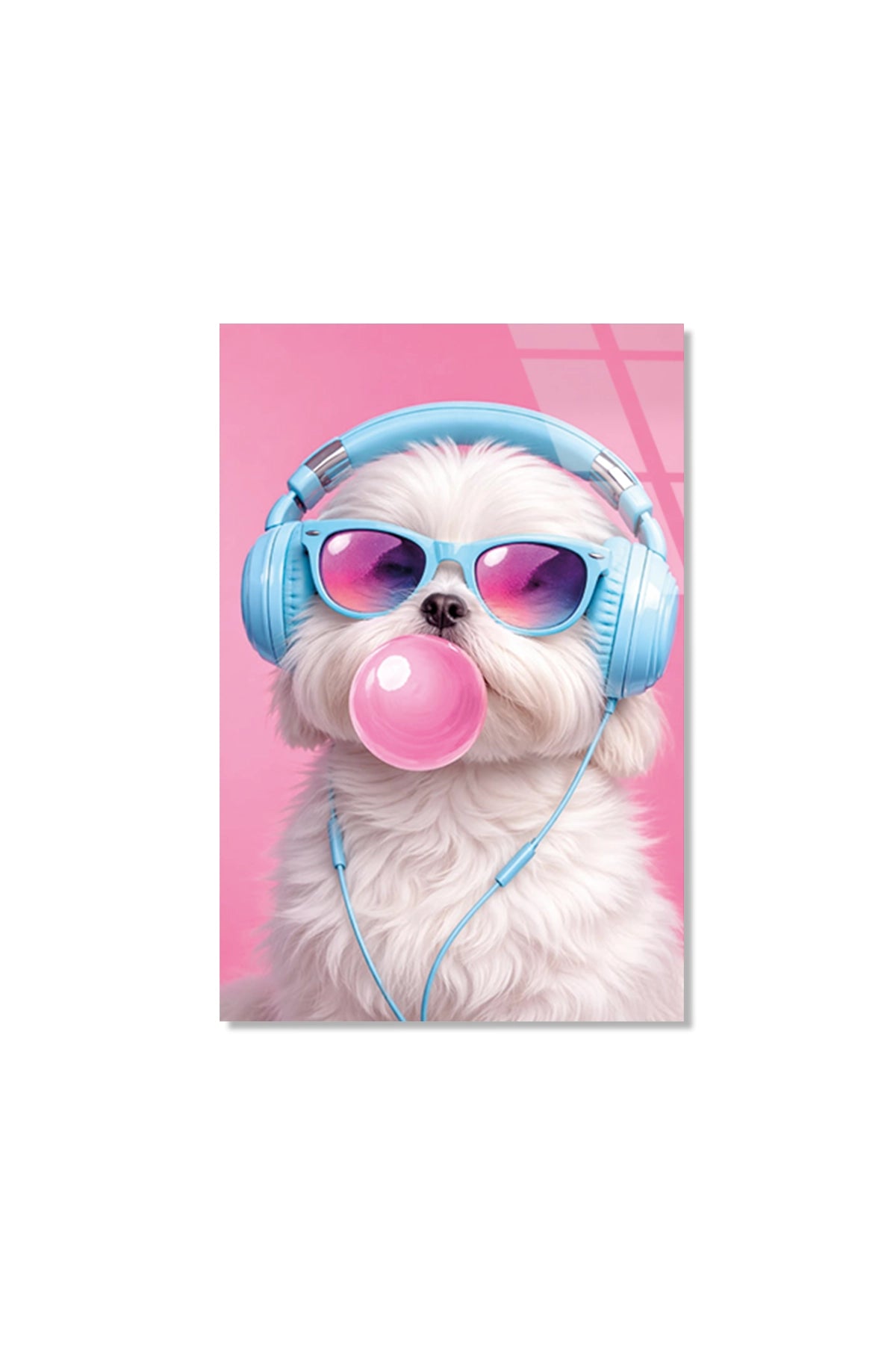 Kulaklıklı ve Sakız Şişiren Tatlı Shih Tzu Köpek Cam Tablo