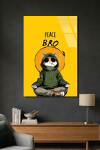 "Peace Bro" Yazılı Yoga Yapan Gözlüklü Kapüşonlu Kedi Cam Tablo