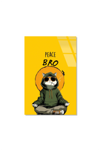 "Peace Bro" Yazılı Yoga Yapan Gözlüklü Kapüşonlu Kedi Cam Tablo