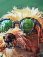 Yeşil Ceketli ve Gözlüklü Poodle Terrier Cam Tablo